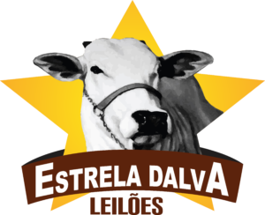Logo leilao Jair Toledo