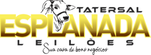 Tatersal Esplanada Leilões