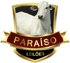 paraiso-leiloes-300x268